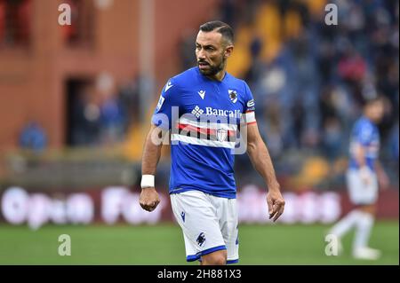 Fabio Quagliarella d'UC Sampdoria en action pendant la série Un match de 2021/22 entre UC Sampdoria et Hellas Verona FC au stade Ferraris le 27 novembre 2021 à Gênes, Italie photo ReporterTorino Banque D'Images