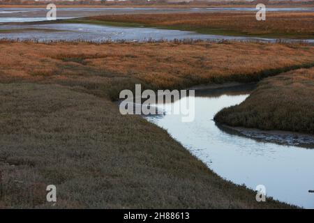 Ruisseau d'eau vu dans la réserve naturelle de Pagham Harbour à marée basse. Banque D'Images