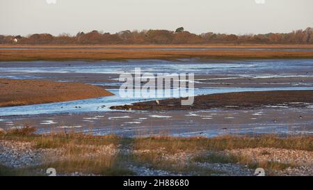 Vue sur les terres humides et les vasières de la réserve naturelle de Pagham Harbour à marée basse. Banque D'Images