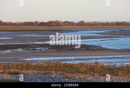 Vue sur les terres humides et les vasières de la réserve naturelle de Pagham Harbour à marée basse. Banque D'Images