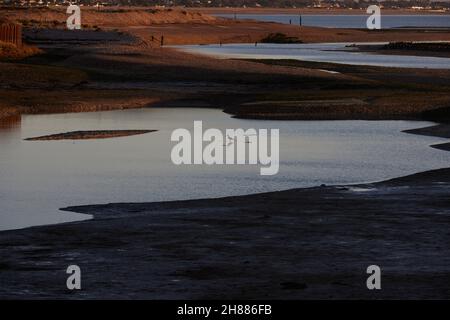 Vue sur les terres humides et les vasières à marée basse dans la réserve naturelle de Pagham Harbour. Banque D'Images