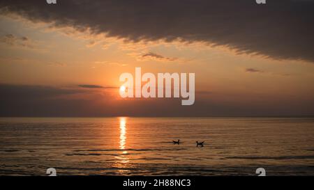 Une scène de coucher de soleil sur la côte de la mer Baltique avec un soleil bas deux mouettes dans l'eau et un nuage diagonal foncé Banque D'Images