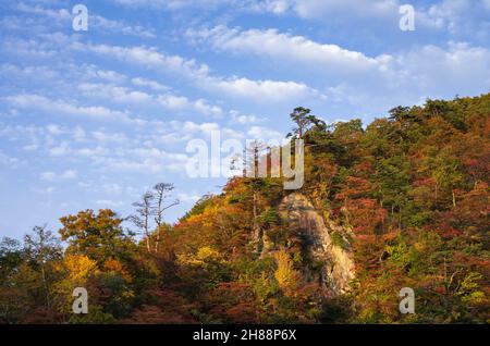 Vue sur la gorge de Naruko en automne, préfecture de Miyagi, Japon Banque D'Images