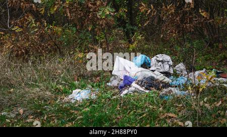 Mise au point sélective sur la pile de déchets dans les bois sur la droite avec l'espace de copie sur la gauche.Concept de changement climatique, déchets et déchets Banque D'Images