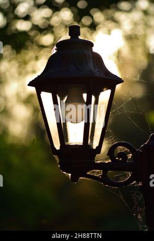 Une lampe antique sur fond de feuilles vertes illuminées par le soleil et enmêinées avec une toile d'araignée.Jour. Banque D'Images