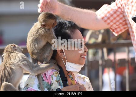 Lop Buri, Thaïlande.28 novembre 2021.Thaïlande - les singes grimpent sur les corps des touristes. Au 33ème 'Parti des singes en fauteuil roulant 2021' à Phra Prang Sam Yot dans la ville de Lophuri, le dimanche 28 novembre 2021.(Photo de Teera Noisakran/Pacific Press) Credit: Pacific Press Media production Corp./Alay Live News Banque D'Images