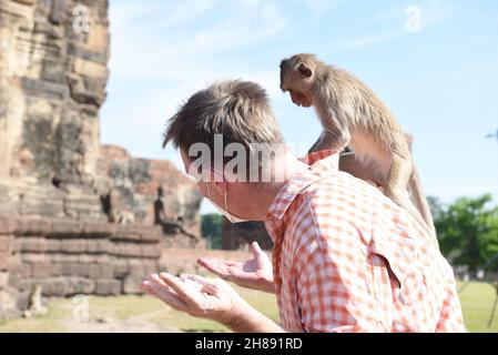 Lop Buri, Thaïlande.28 novembre 2021.Thaïlande - les singes grimpent sur les corps des touristes. Au 33ème 'Parti des singes en fauteuil roulant 2021' à Phra Prang Sam Yot dans la ville de Lophuri, le dimanche 28 novembre 2021.(Photo de Teera Noisakran/Pacific Press) Credit: Pacific Press Media production Corp./Alay Live News Banque D'Images