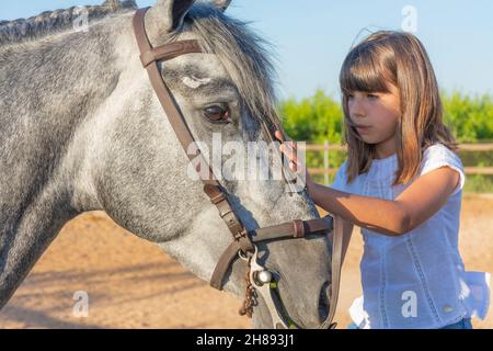 Une petite fille sur une ferme qui caressait la tête de son cheval gris de pommier tout en le regardant doucement Banque D'Images