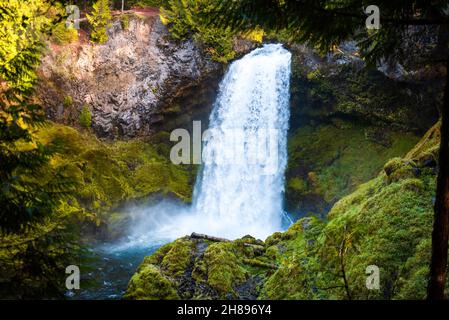 La mousse et la forêt qui susurdent les chutes de Sahalie à Oergon Banque D'Images