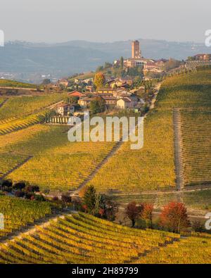 Belles collines et vignobles en automne autour du village de Barbaresco.Dans la région de Langhe, Cuneo, Piémont, Italie. Banque D'Images