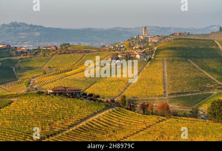 Belles collines et vignobles en automne autour du village de Barbaresco.Dans la région de Langhe, Cuneo, Piémont, Italie. Banque D'Images