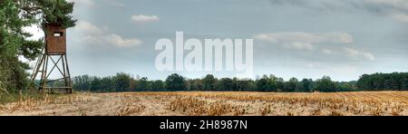 Chasse à la chaire sur le bord d'un immense champ de maïs faussé, comme on le trouve souvent dans l'est de l'Allemagne. Banque D'Images