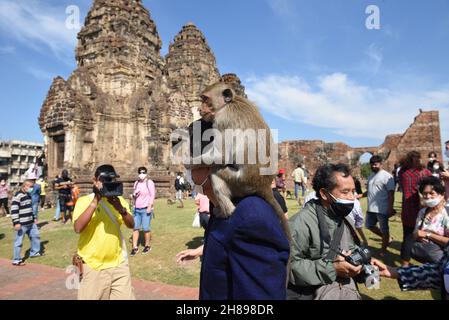 Lop Buri, lop Buri, Thaïlande.28 novembre 2021.Thaïlande - les singes grimpent sur les corps des touristes. Au 33ème ''Wheelchair Monkey Party 2021''' à Phra Prang Sam Yot dans la ville de Lophuri, le dimanche 28 novembre 2021.(Credit image: © Teera Noisakran/Pacific Press via ZUMA Press Wire) Credit: ZUMA Press, Inc./Alamy Live News Banque D'Images