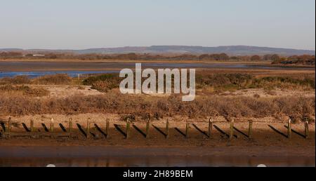 Vue sur les terres humides et les vasières à marée basse dans la réserve naturelle de Pagham Harbour. Banque D'Images