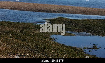 Ruisseau d'eau vu dans la réserve naturelle de Pagham Harbour à marée basse. Banque D'Images