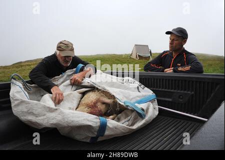 Shepherd dans le pays du mont blanc Banque D'Images