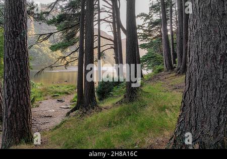 Le lac supérieur de Glendaloch à l'ancienne colonie monastique de Glendalogh, comté de Wicklow, République d'Irlande Banque D'Images