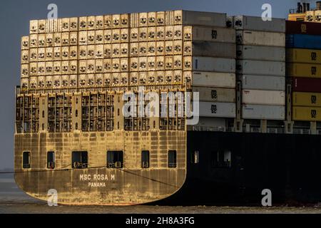 Conteneurs d'expédition réfrigérés à bord de l'arrière du navire-conteneur MSC Rosa M enregistré au Panama, entrant dans le port Felixstowe au Royaume-Uni Banque D'Images