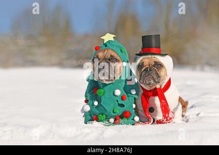 Chiens drôles en costumes de Noël.Deux Bulldogs français s'habille comme un arbre de Noël et un bonhomme de neige dans la neige Banque D'Images