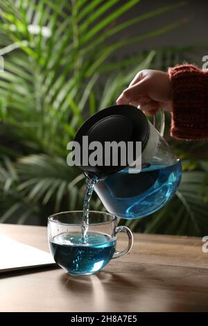 Femme versant le thé de fleur de pois papillons de la théière dans une tasse sur la table Banque D'Images
