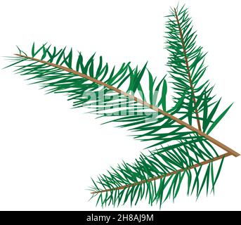 Illustration vectorielle de couleur de branche d'arbre de Noël isolée Illustration de Vecteur