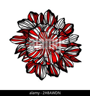 Fleur rouge noire et blanche.Illustration vectorielle Illustration de Vecteur
