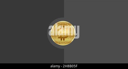Brochure Bitcoin, pièce en or, fond vierge Banque D'Images
