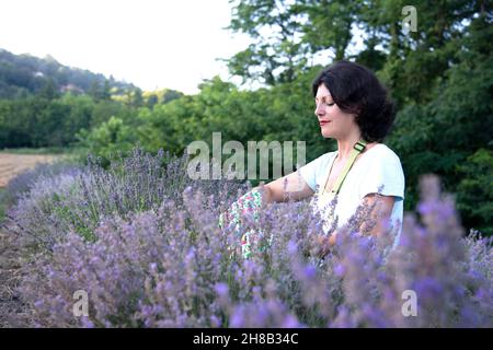 Femme dans le champ de lavande Banque D'Images