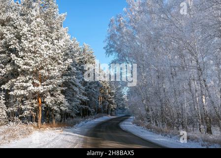 Superbe vue d'hiver avec une route asphaltée à travers une forêt enneigée, des ornithologues et des pins sur le côté de la route en plein gel, ombres et lumière du soleil Banque D'Images