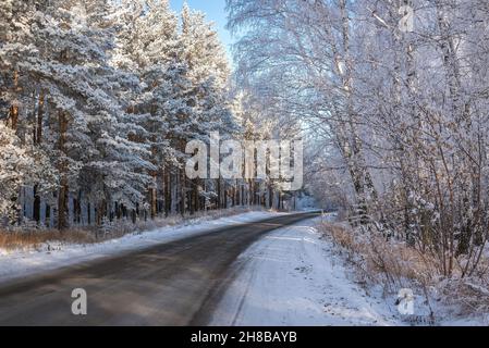 Superbe vue d'hiver avec une route asphaltée à travers une forêt enneigée, des ornithologues et des pins sur le côté de la route en plein gel, ombres et lumière du soleil Banque D'Images