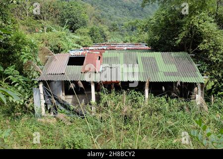 Maisons abandonnées en forêt Banque D'Images