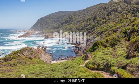 Le début de la piste Otter dans le parc national de Tsitsikamma, sur la route des jardins de l'Afrique du Sud. Banque D'Images