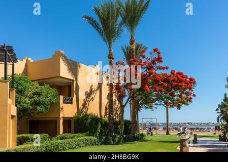 Hurghada, Égypte - 24 mai 2021 : vue sur les villas de l'hôtel et l'arbre à fleurs du Stella Di Mare Beach Resort and Spa situé dans la baie de Makadi, qui Banque D'Images