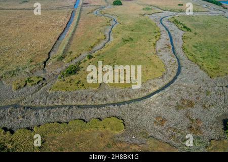 Dommages causés aux terres agricoles par l'eau salée à Dhal Chhar à Bhola, au Bangladesh.Le dhal Char est l'une des nombreuses îles du delta de la rivière Meghna Banque D'Images