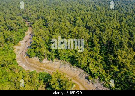 Vue aérienne de la forêt côtière de mangroves à Dhal Chhar.Le dhal Char est l'une des nombreuses îles du delta de la rivière Meghna dans le Gange de plus large Banque D'Images