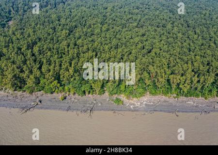 Vue aérienne de la forêt côtière de mangroves à Dhal Chhar.Le dhal Char est l'une des nombreuses îles du delta de la rivière Meghna dans le Gange de plus large Banque D'Images