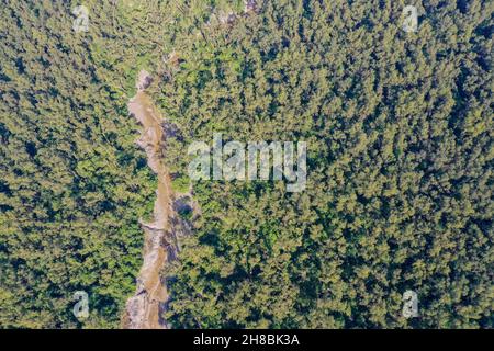 Vue aérienne de la forêt côtière de mangroves à Dhal Chhar.Le dhal Char est l'une des nombreuses îles du delta de la rivière Meghna dans le Gange de plus large Banque D'Images