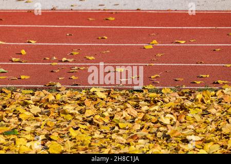 Pistes de course à pied pour les athlètes et le terrain couvert de feuilles mortes en automne, concept sport. Banque D'Images