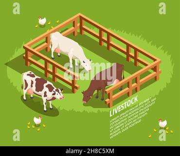 Bétail incluant les vaches dans les enclos, poules avec poussins sur la composition isométrique des pâturages sur fond vert illustration vectorielle Illustration de Vecteur