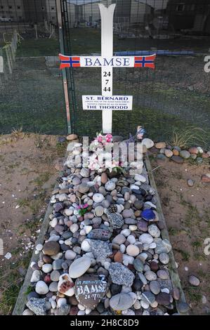 Lieu de sépulture des animaux de Bamse, le brave Saint Bernard qui est allé en mer sur le Minesweeper norvégien Thorodd pendant la guerre mondiale 2. Banque D'Images