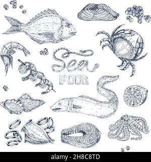 Ensemble de croquis monochromes isolés avec fruits de mer, y compris le calmar de poissons et illustration du vecteur de crevettes caviar et de crabe Illustration de Vecteur