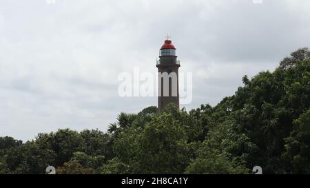 Le phare et le ciel au milieu des arbres qui ressemblent à une mosaïque verte Banque D'Images