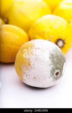 Faire pourrir le citron devant des produits frais Banque D'Images