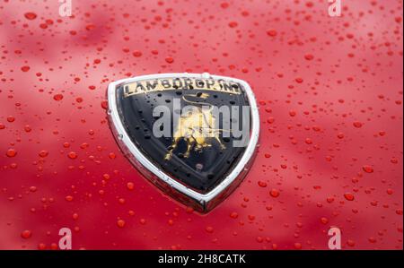 Gros plan de l'emblème du logo de taureau de chargement sur une supervoiture sportive italienne classique Lamborghini Countach LP400S rouge. Banque D'Images