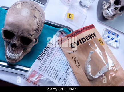 Crâne humain d'un adulte assassiné dans un laboratoire médico-légal, image conceptuelle Banque D'Images