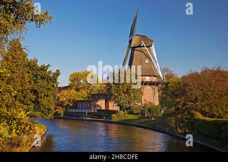 Gagnez le moulin de Knockster Tief, Allemagne, Basse-Saxe, Frise orientale, Hinte Banque D'Images