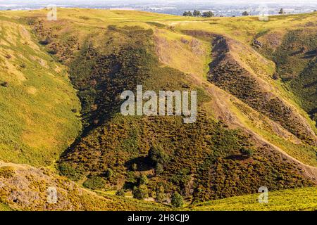 Sentiers pédestres sur les pentes abruptes de Carding Mill Valley, long Mynd, Shropshire Hills, région d'Angleterre de beauté naturelle, Banque D'Images