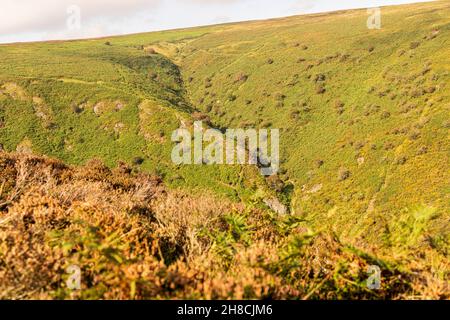 Sentiers pédestres sur les pentes abruptes de Carding Mill Valley, long Mynd, Shropshire Hills, région d'Angleterre de beauté naturelle, Banque D'Images