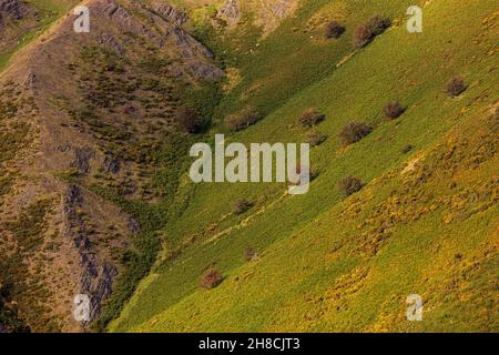 Détails abstraits du paysage de long Mynd, Shropshire Hills, collines et vallées, région de beauté naturelle, Angleterre Banque D'Images