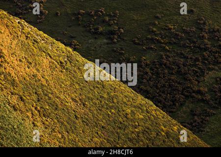 Détails abstraits du paysage de long Mynd, Shropshire Hills, collines et vallées, région de beauté naturelle, Angleterre Banque D'Images